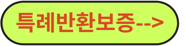 역전세반환대출