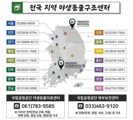 가을 단풍 여행지 추천 장소 _ 두륜산&amp;#44; 무등산&amp;#44; 내장산&amp;#44; 계룡산&amp;#44; 북한산 