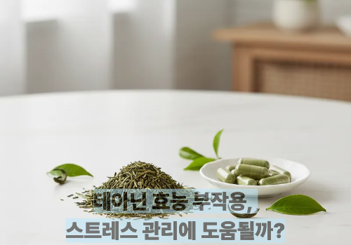 테아닌 효능 부작용, 스트레스 관리에 도움될까?
