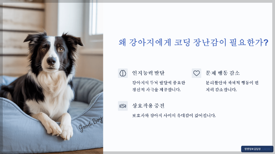 강아지 코딩 놀이 장난감