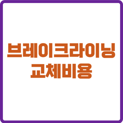브레이크라이닝 교체비용