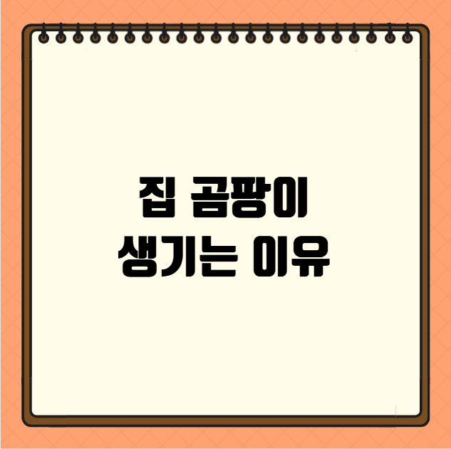 집 곰팡이 생기는 이유