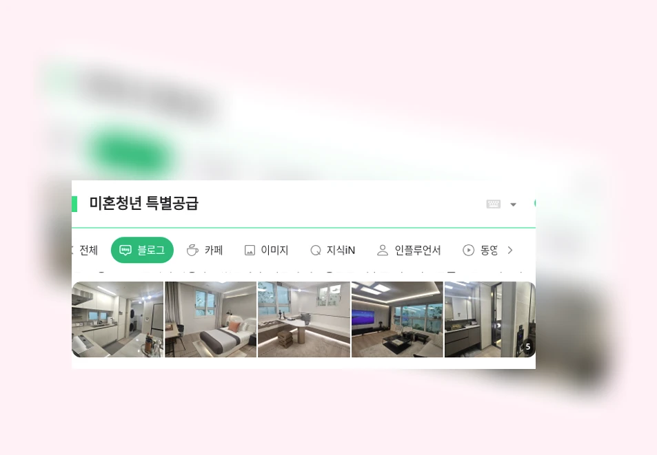 미혼청년 특별공급_1_subsection