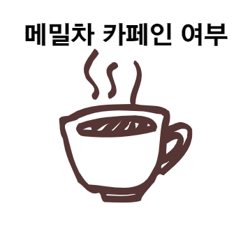 메밀차 카페인 여부