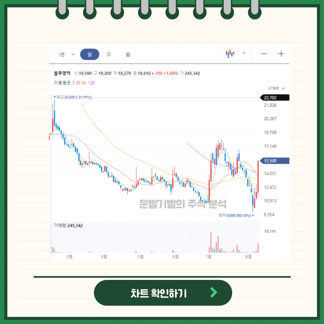 블루엠텍 차트분석