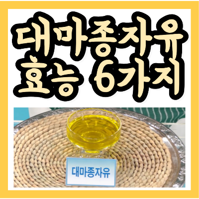 대마종자유 효능