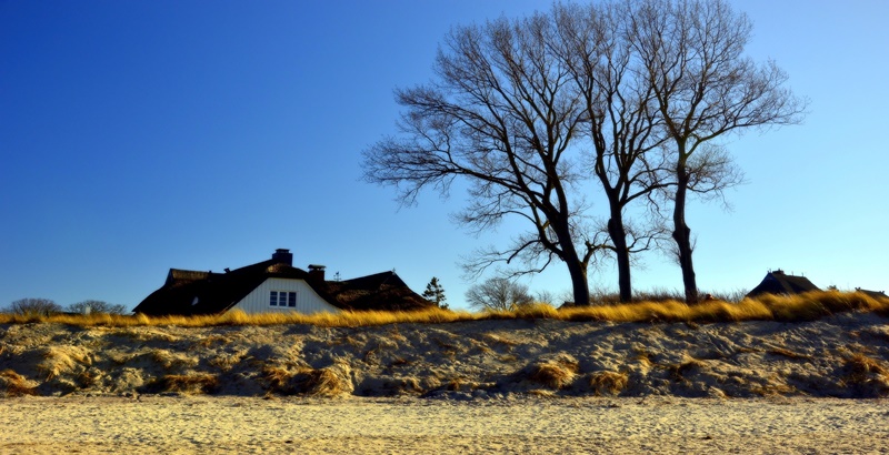 시골에 집 한채가 있는 이미지
