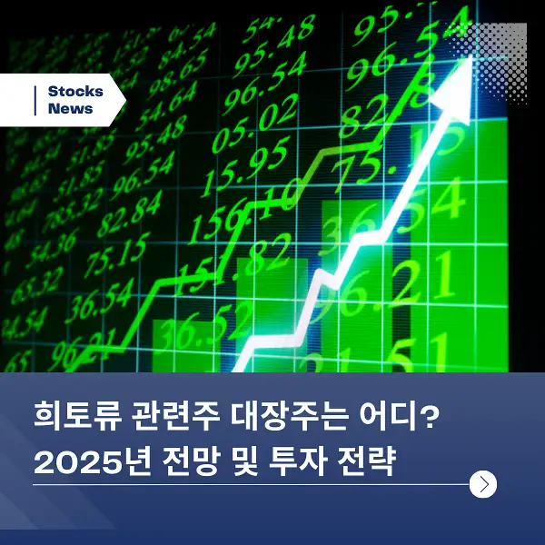 희토류 관련주 대장주