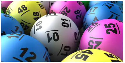 2025년 로또 동행복권 판매점 모집 신청 방법 신청 조건 예상 수익 