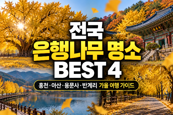 전국 은행나무 명소 BEST 4｜홍천&middot;아산&middot;용문사&middot;반계리 은행나무 가을 여행 가이드