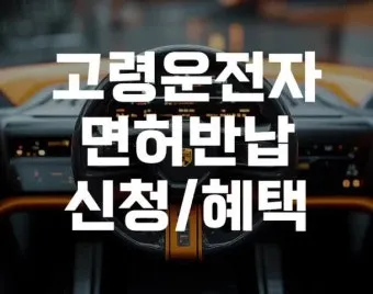 운전면허 반납 혜택 교통비 지원 대체교통 안전 이동법_23