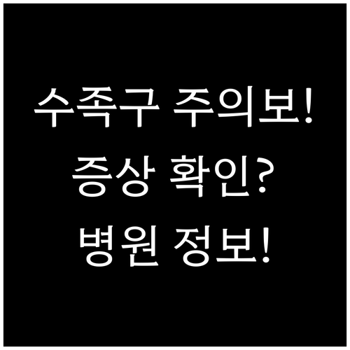 2024 대구 수족구 주의보 증상과 ..