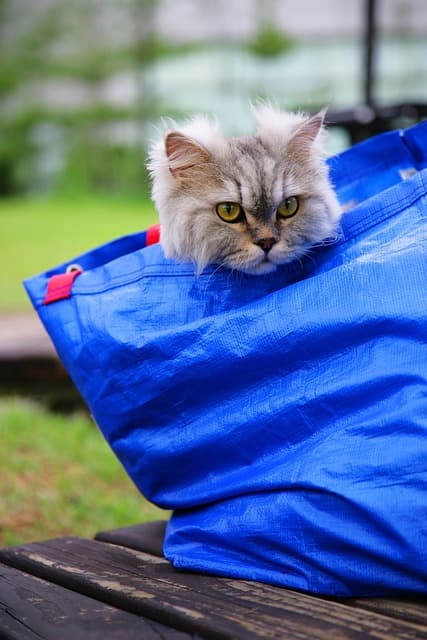 [제로 웨이스트 DIY] 버려진 물건의 재탄생 : 제로 웨이스트 DIY 팁