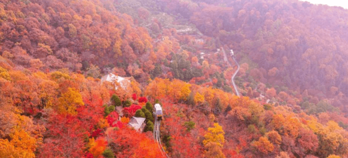 화담숲 - 취소표 잡는 노하우