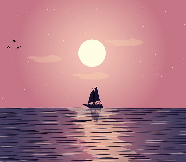 물꿈
