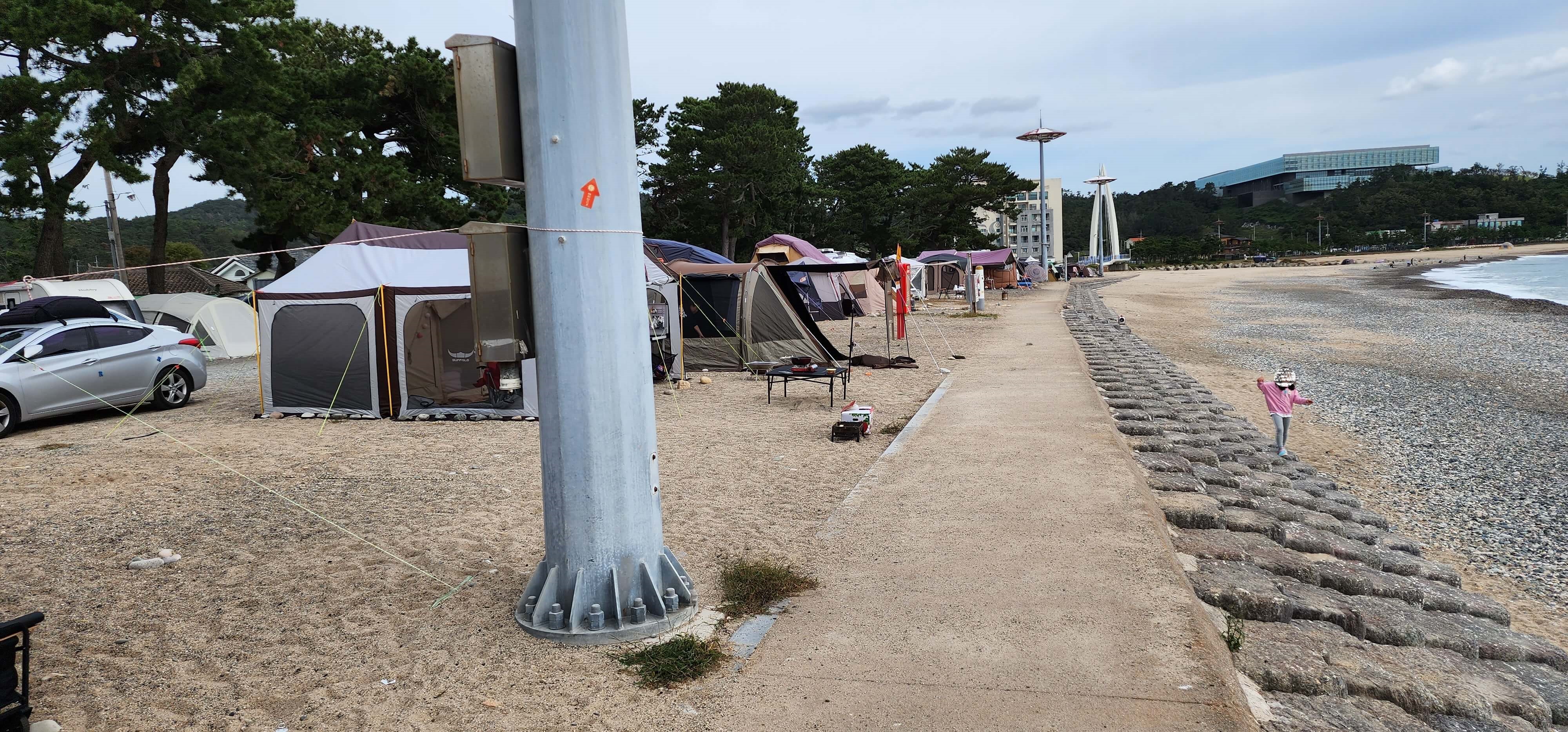 경남 노지차박 캠핑지 경주관성솔밭해변6