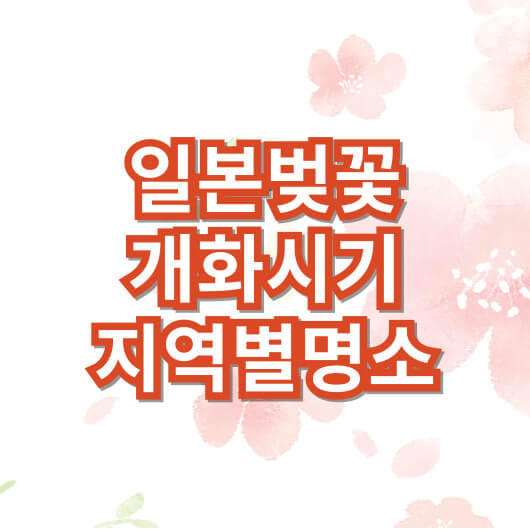 일본-벚꽃-개화시기