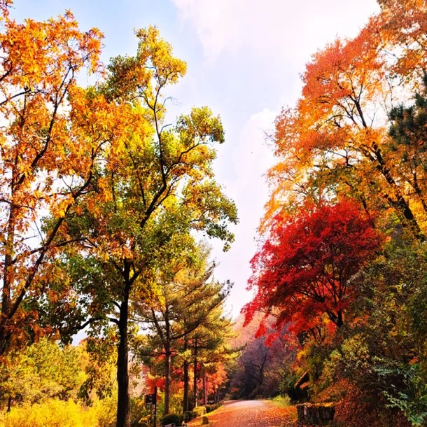 가을 단풍 여행지