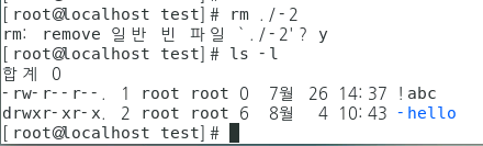 - 등 특수문자 파일 지우기