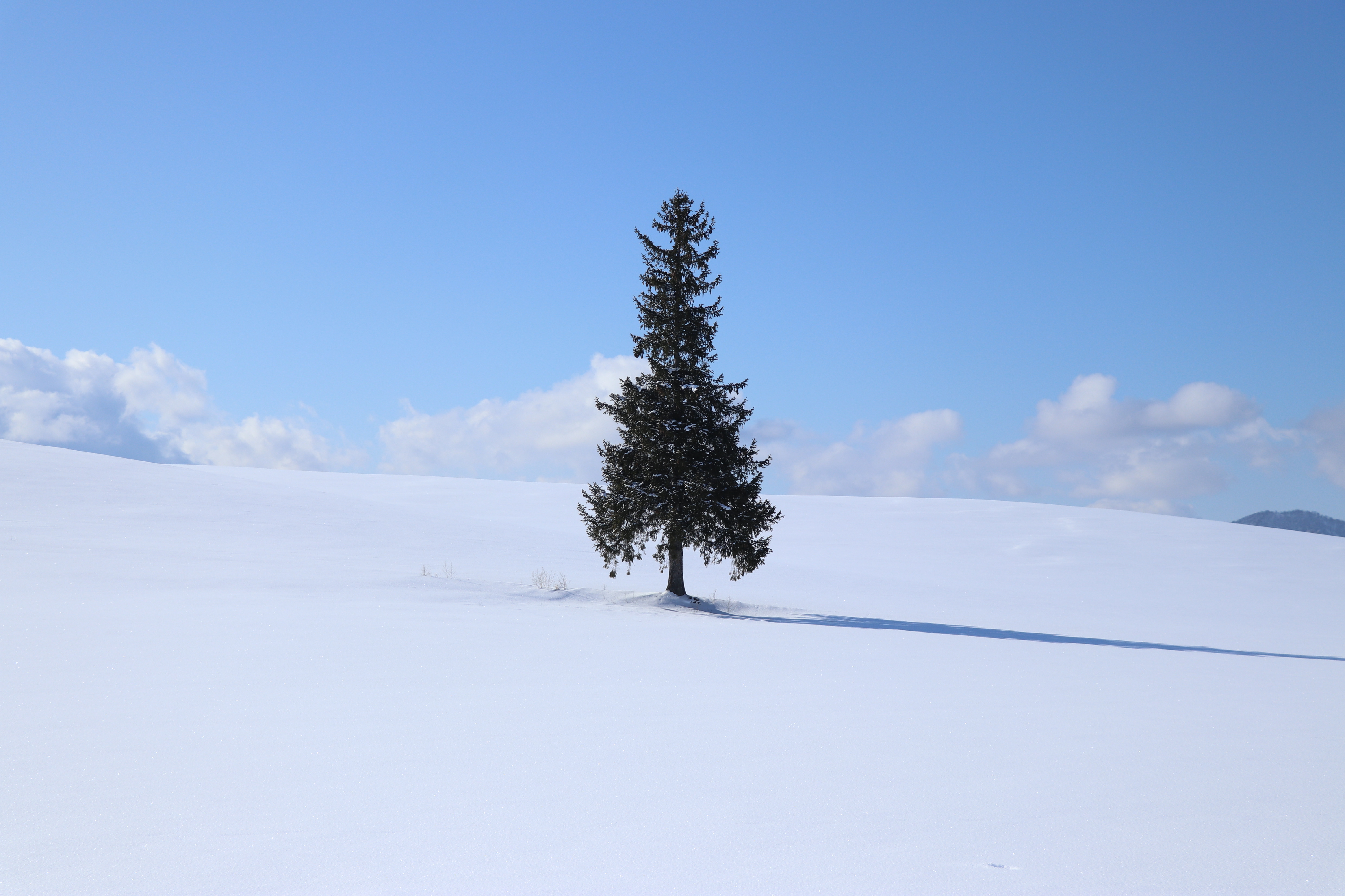 일본 여행, 삿포로 날씨와 실속 여행지 추천