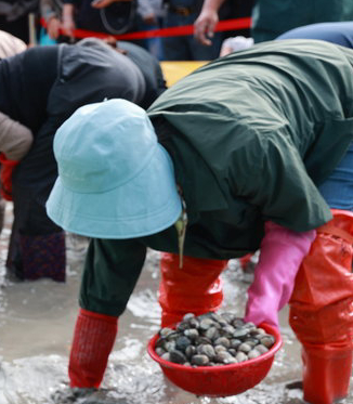 벌교 꼬막축제 2025