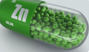 부모님 영양제 추천 영양소 아연