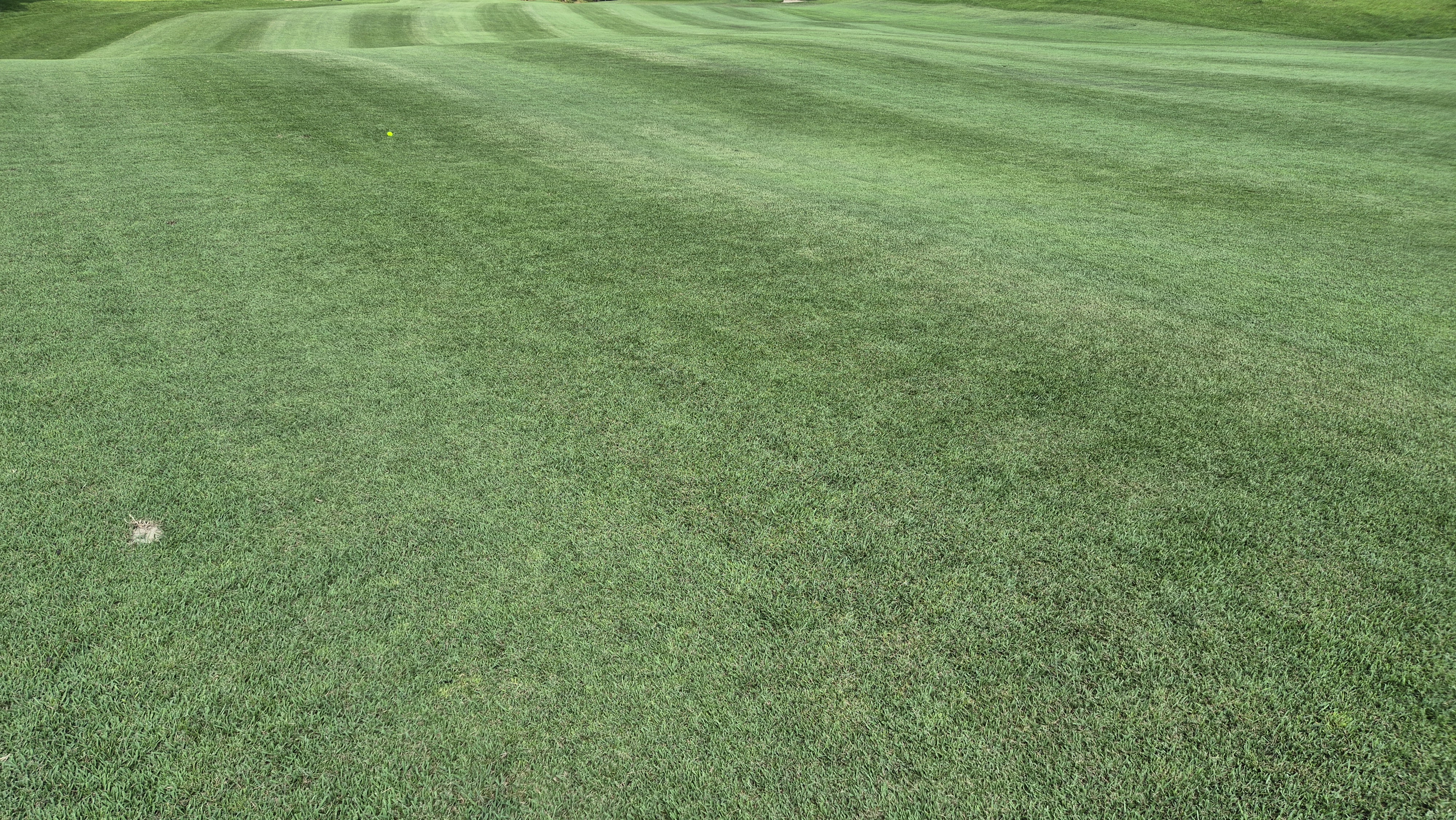 태광cc 북-서 코스 라운드 후기