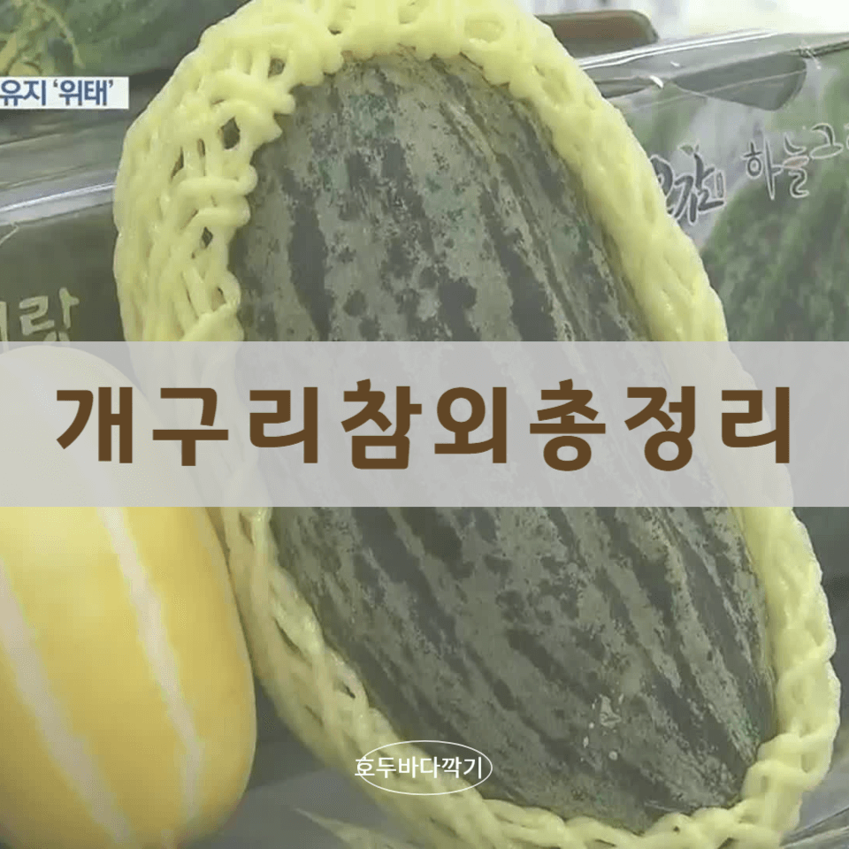 개구리-참외-효능에-대한-사진