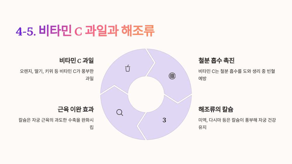 4-5. 비타민 C 과일과 해조류