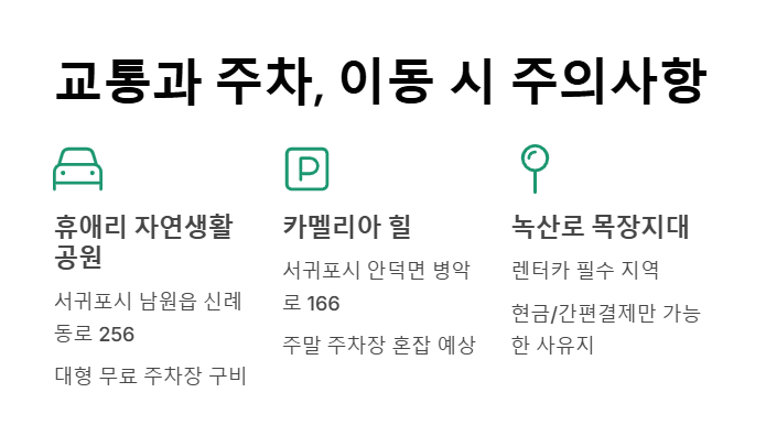 제주 핑크뮬리 축제&amp;#44; 가을 감성 느낌 100%