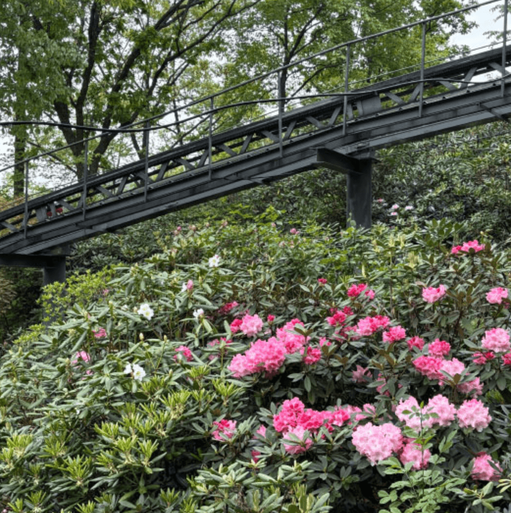 화담숲 모노레일