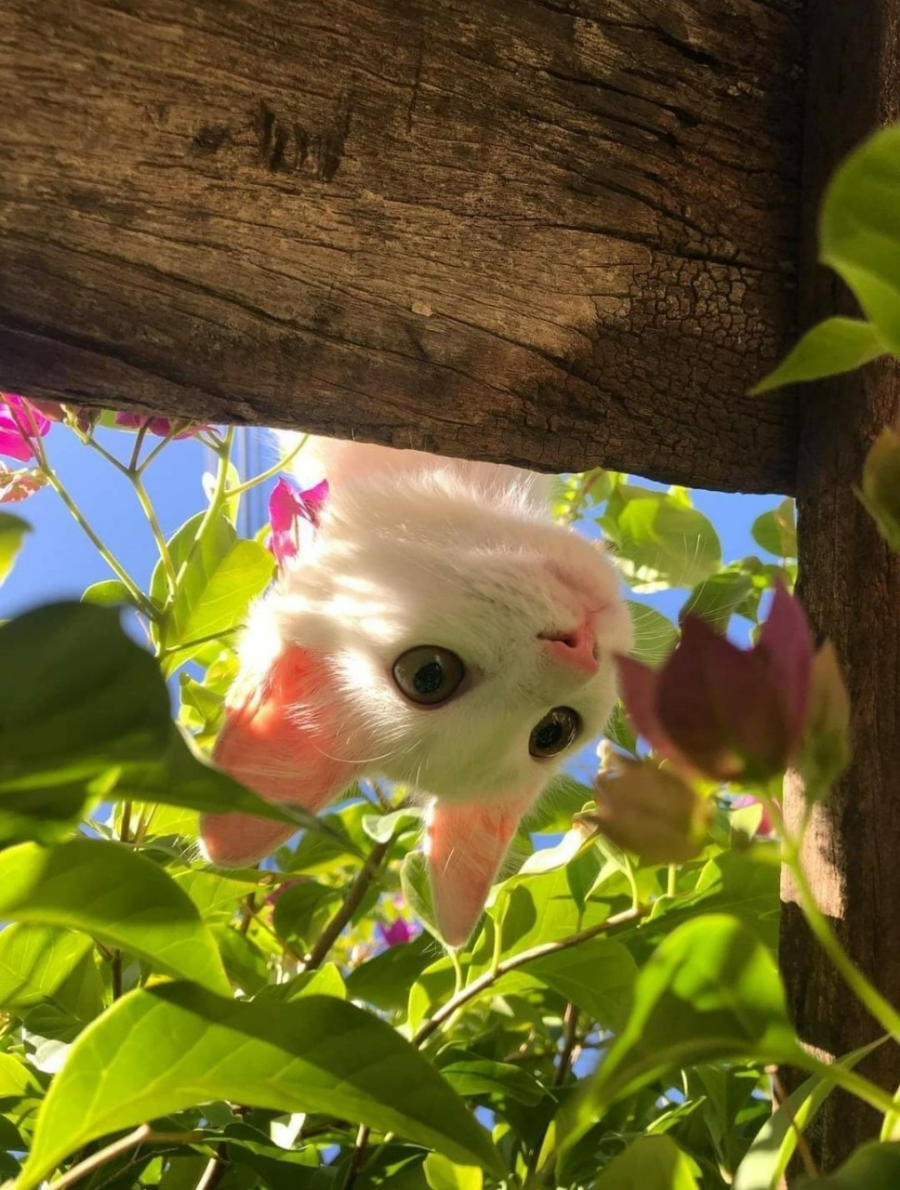 플로개 블로그 완전 정복