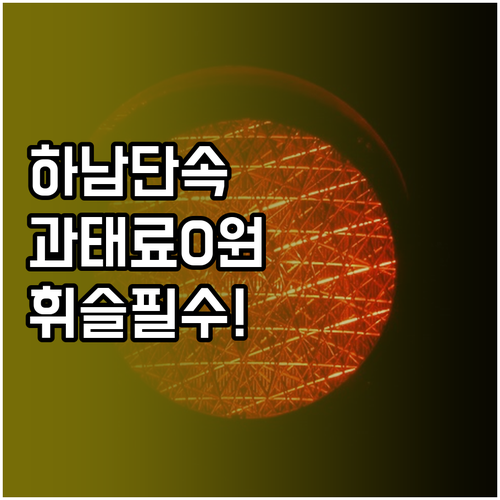 하남 주정차단속알림 문자 서비스 가입..