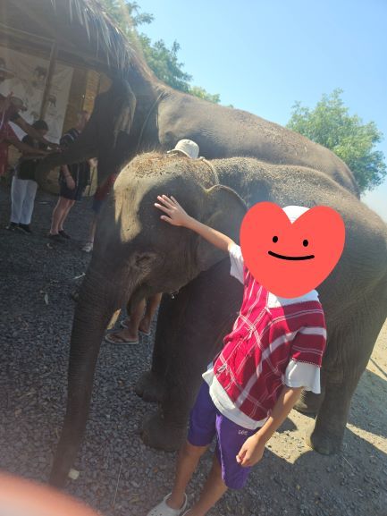 방콕 엘리펀트 파크