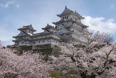 일본 전통 성