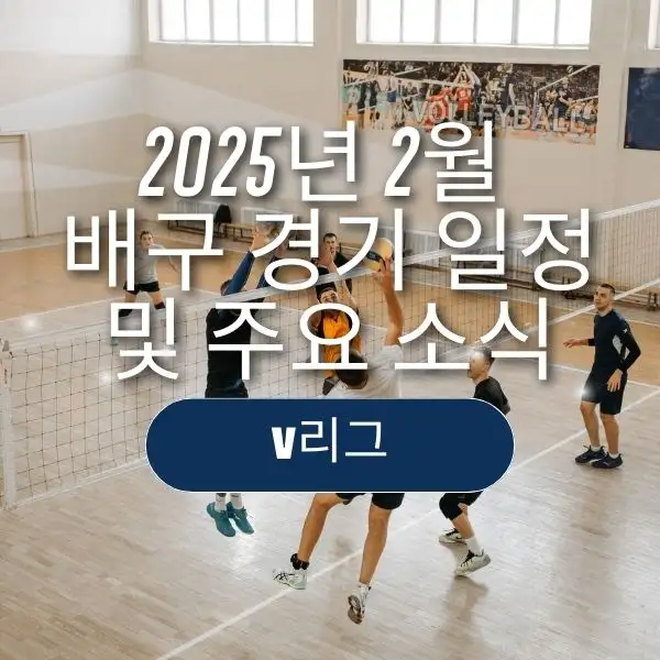 2025년 2월 배구 경기 일정