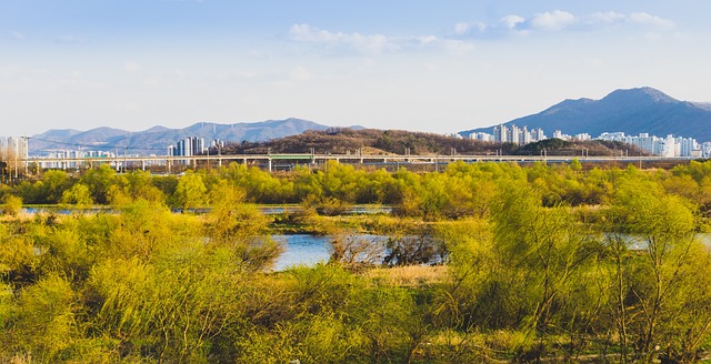 대구 풍경