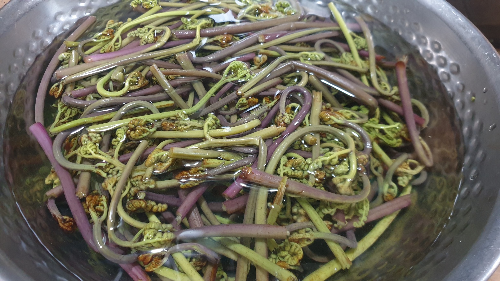 봄에 만나는 봄나물, 고사리 관련 이미지