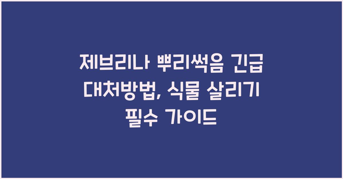 제브리나 뿌리썩음 긴급 대처방법