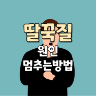 썸네일 사진입니다.