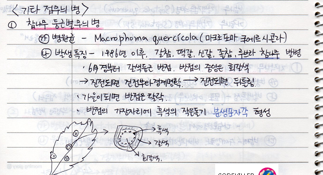 참나무 둥근별무늬병