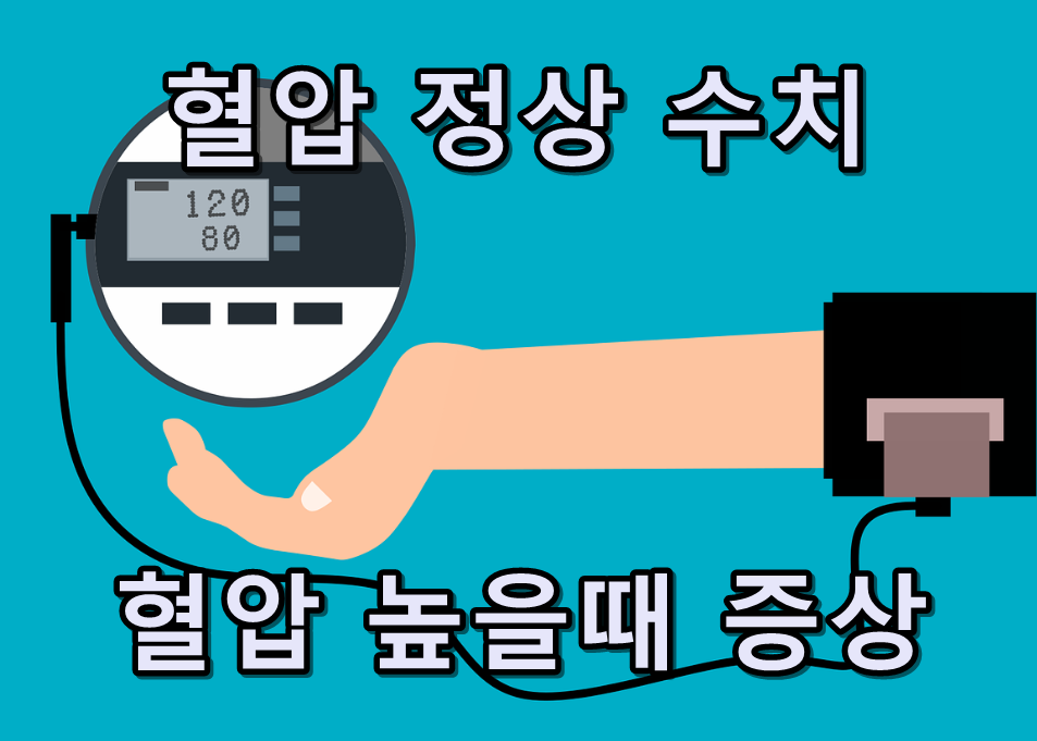 혈압정상수치, 혈압이 높을때 증상 텍스트 썸네일