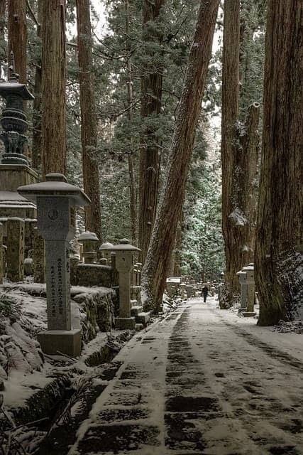 다카야마의 전통 거리 산책과 히다 소고기 맛보기
