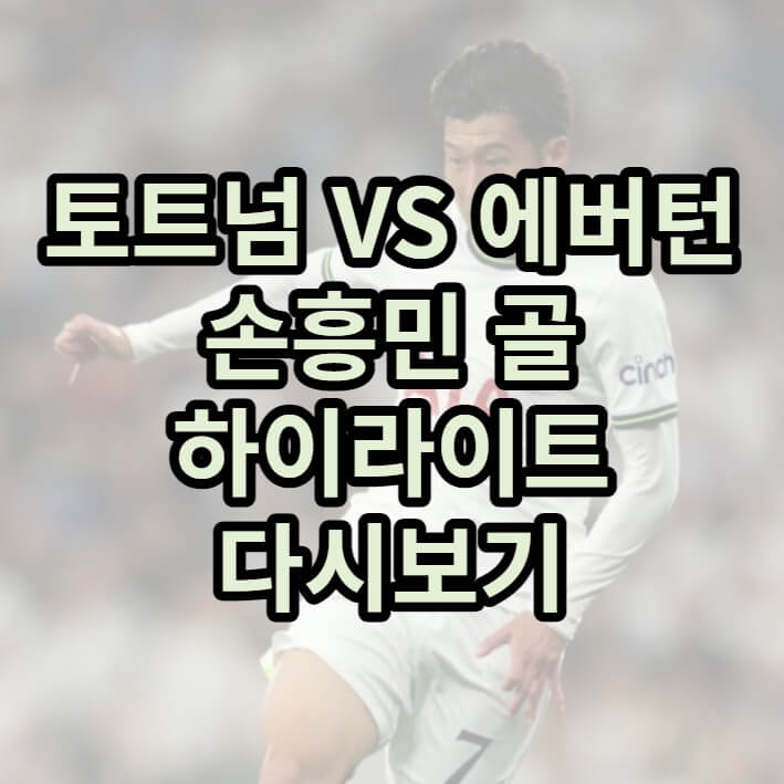 손흥민 토트넘
