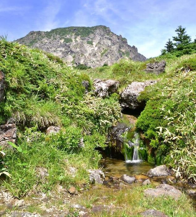 물에 빠지는 꿈해몽 2025 (상황별 해석 8가지 총정리)