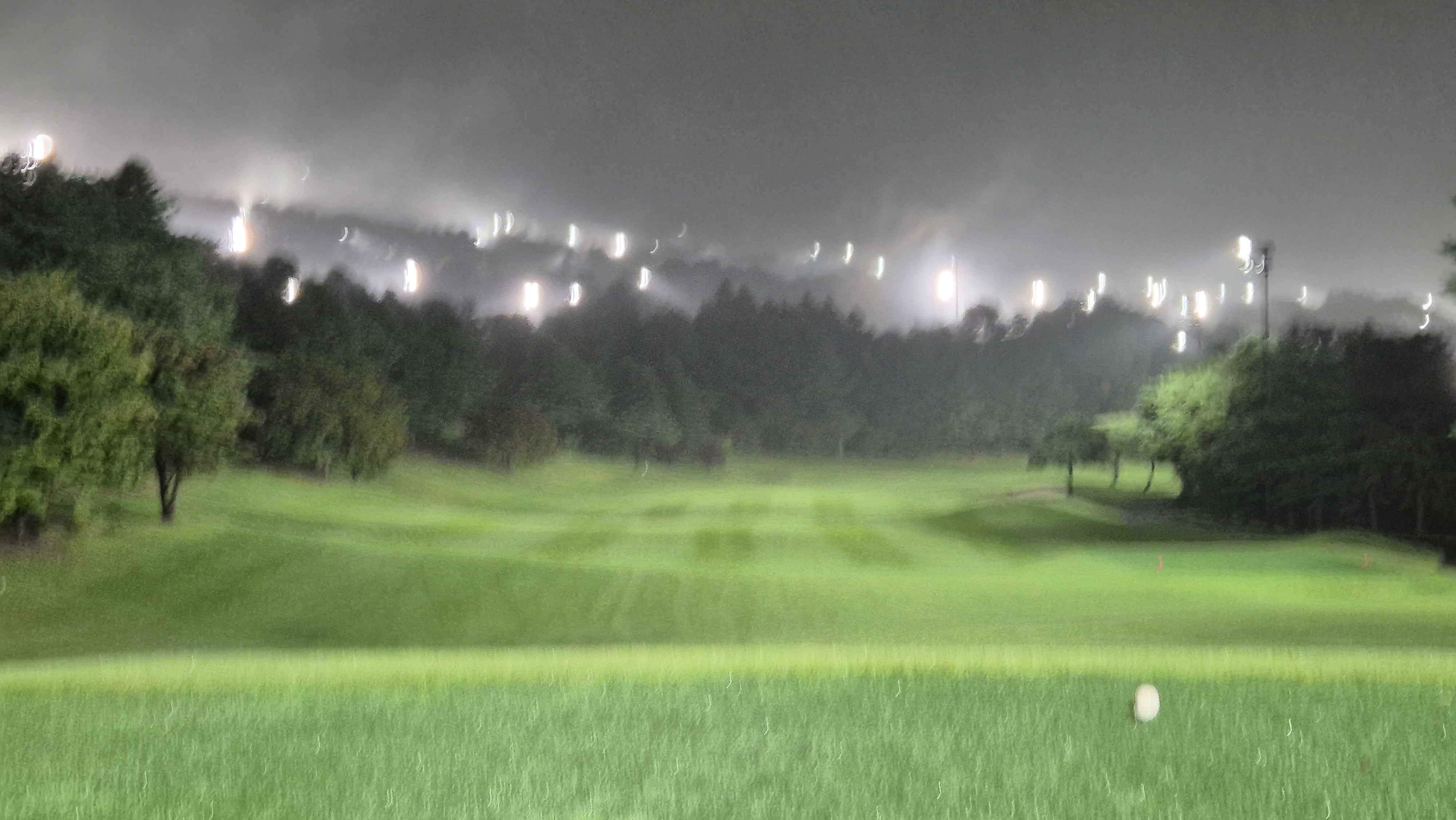 블루원용인cc 중코스