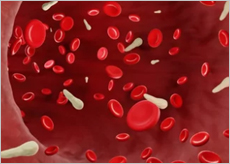 혈관에 혈액이 흐르는 모습 이미지&amp;#44; 혈관이 막힐것 같은 이미지