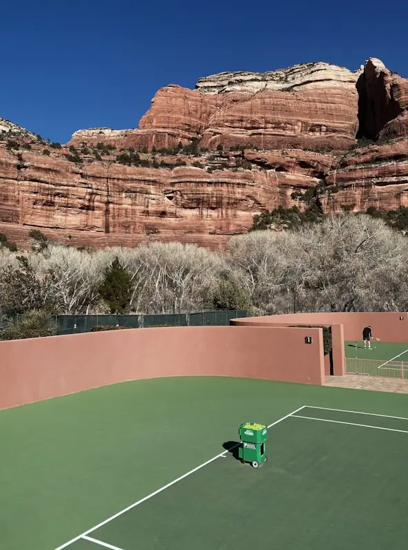 테니스 잔디 코트