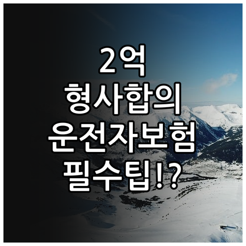 교통사고처리 2억 보장 운전자보험 형..