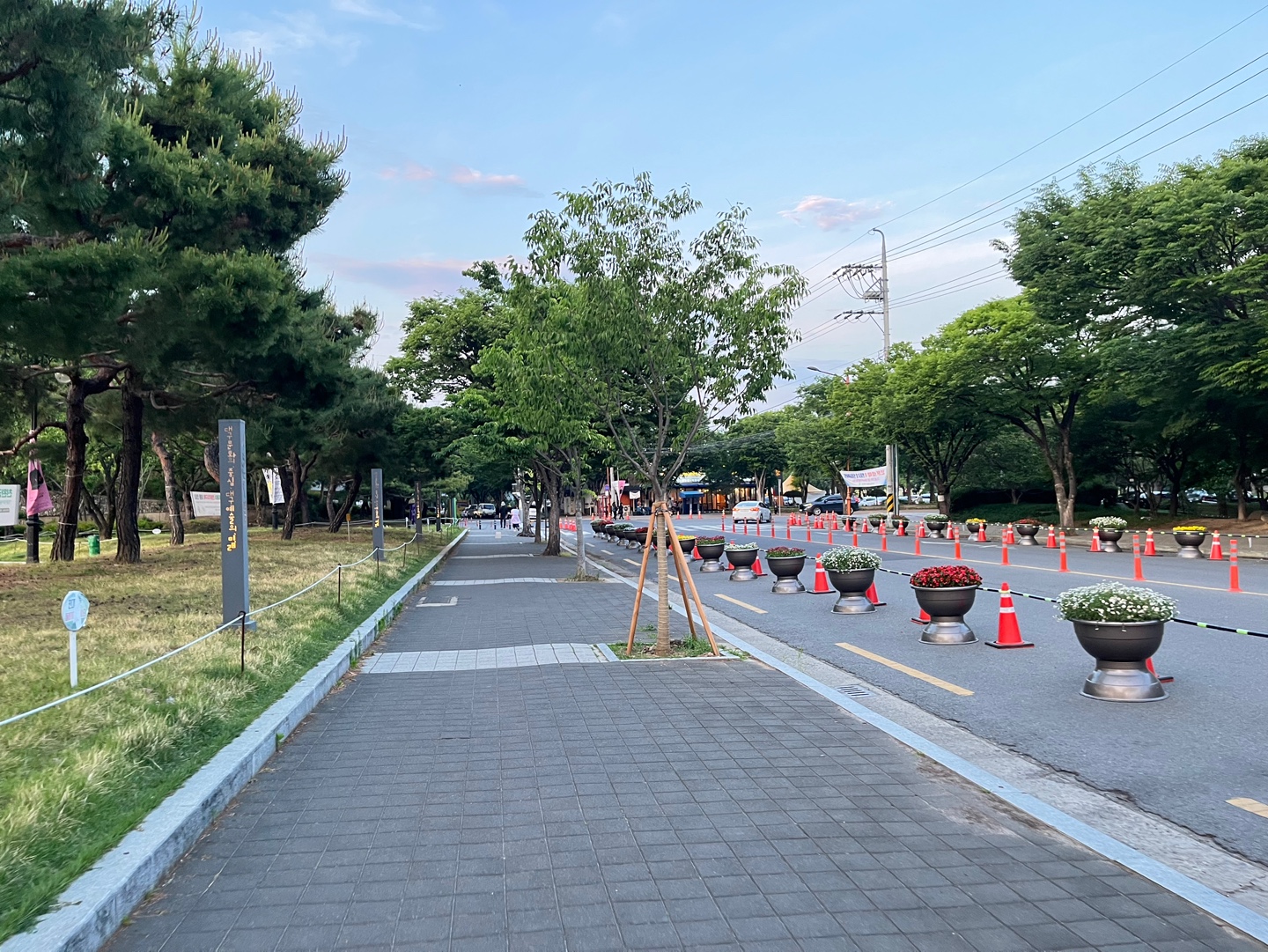 해지고_있는_두류공원_풍경